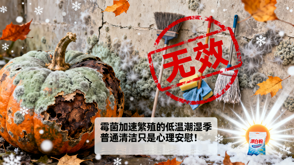 漂白粉详情页02.png